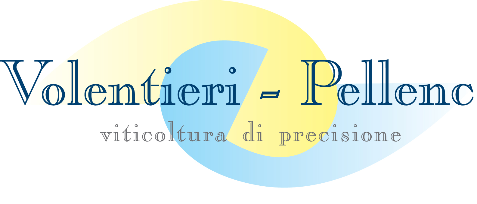 logo volentieri 2013- big