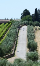 2017_06 Gastronomarcia (24)